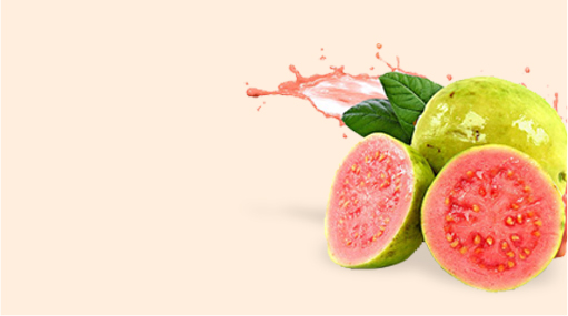ELM Organic V5 Organic5 Banner2