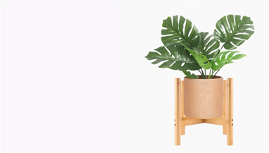 Plant2 Banner1