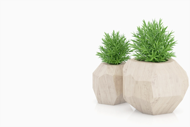 Plant3 Banner2