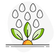 Plant3 Icon4