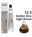 12.3 Golden Very Light Brown