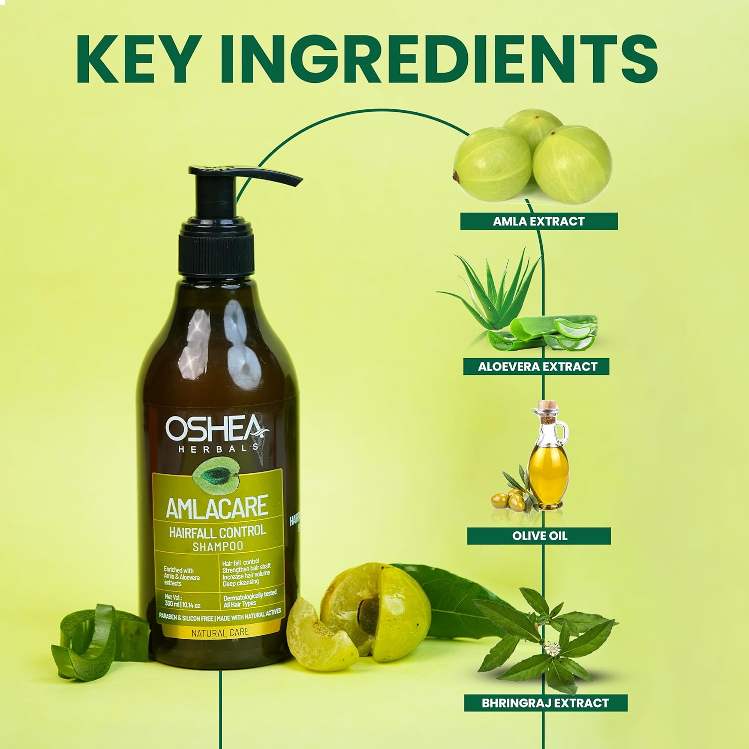 81t53x3nkZL._SL1500_