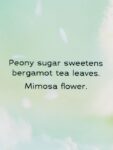 Image_Editor – 2025-09-26T172202.015