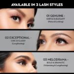 02 Exceptional Chic & Classy (lengthening)