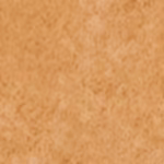 Medium Warm